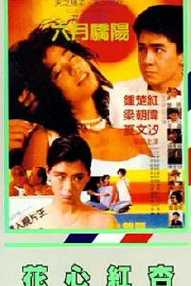 蓬莱仙山之千真万雀
